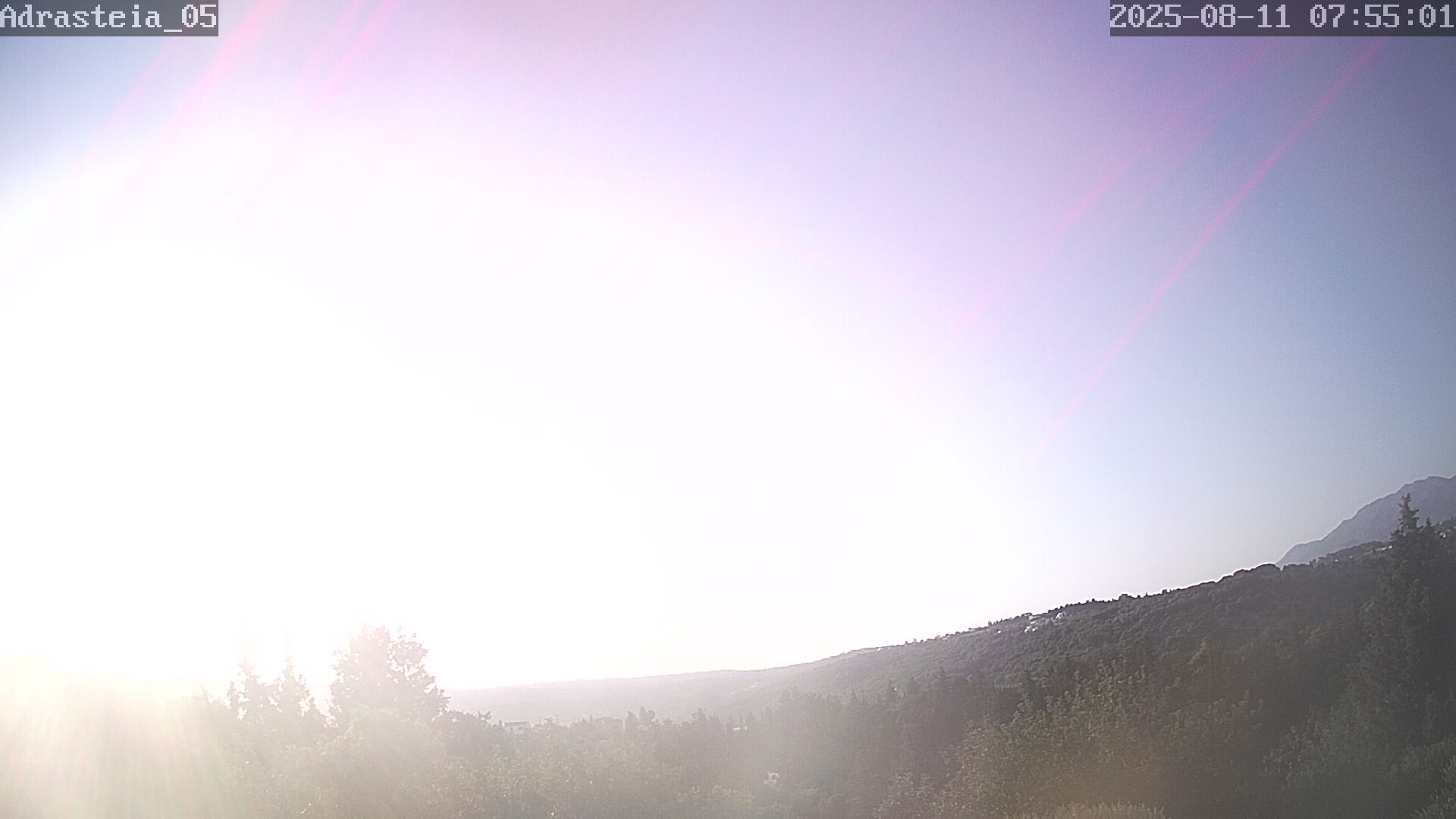 zxc